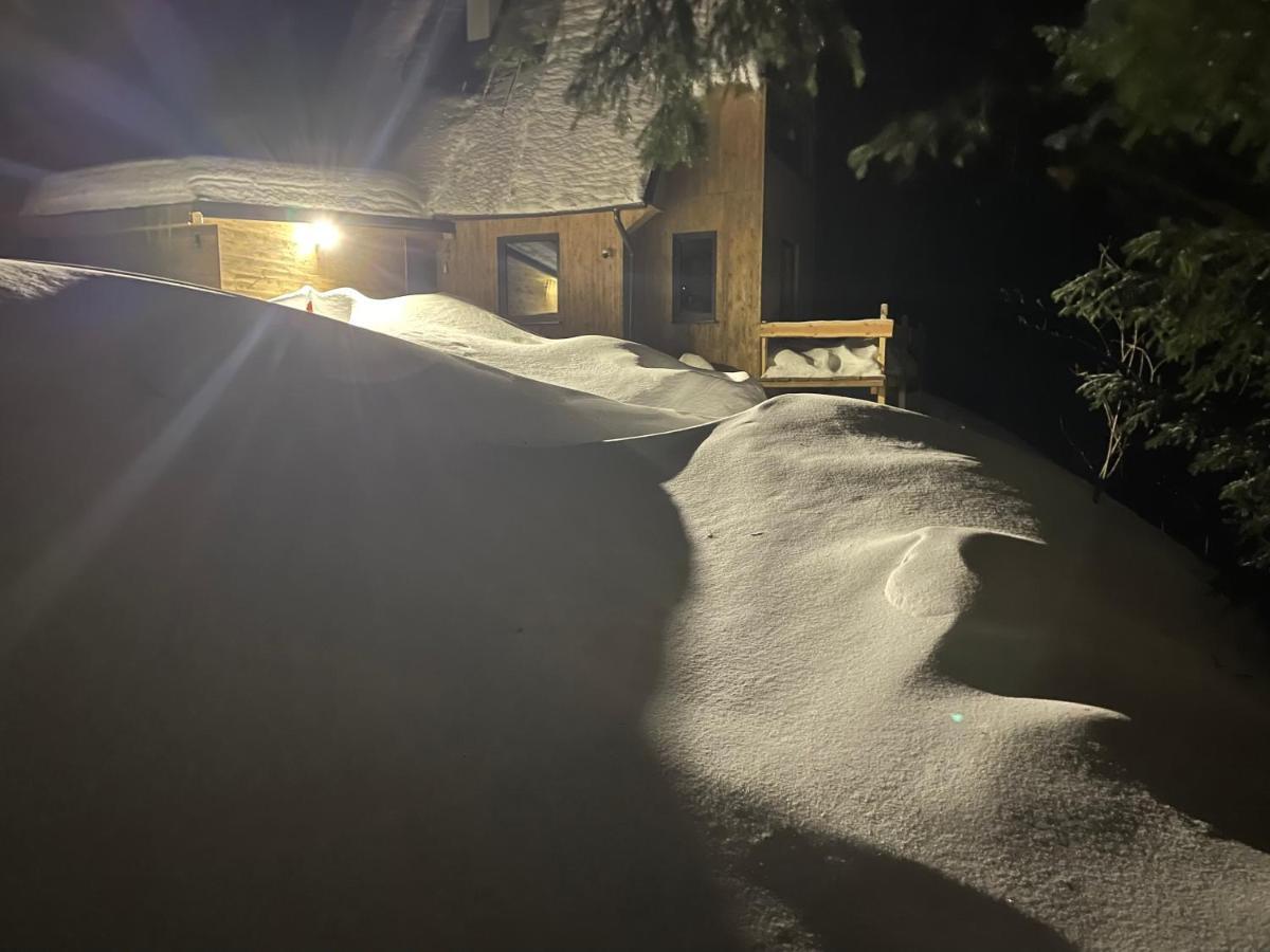 Chalet Fimili Vyšná Boca Eksteriør billede